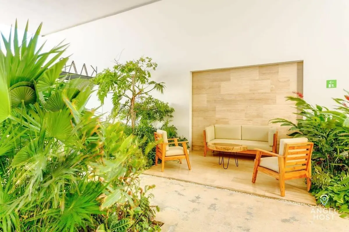 New Downtown Stay With Oceanview Roof Pool And Gym Plus Cafe Playa del Carmen